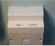 Fibre voice wiring socket